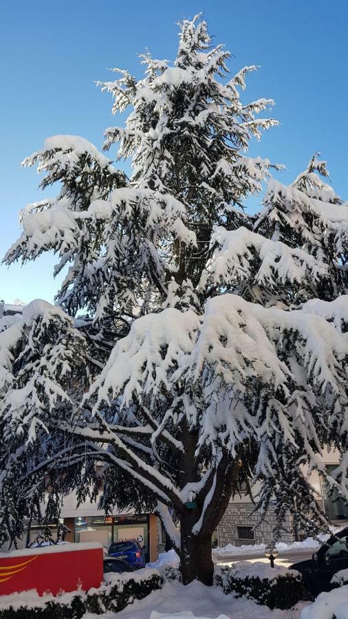 Locanda Ai Dogi Pieve di Cadore Eksteriør billede
